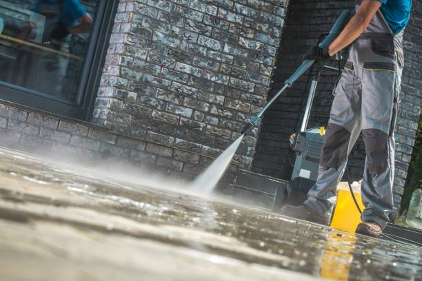 Best Fence Cleaning  in Napervle, IL